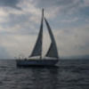 eholman8